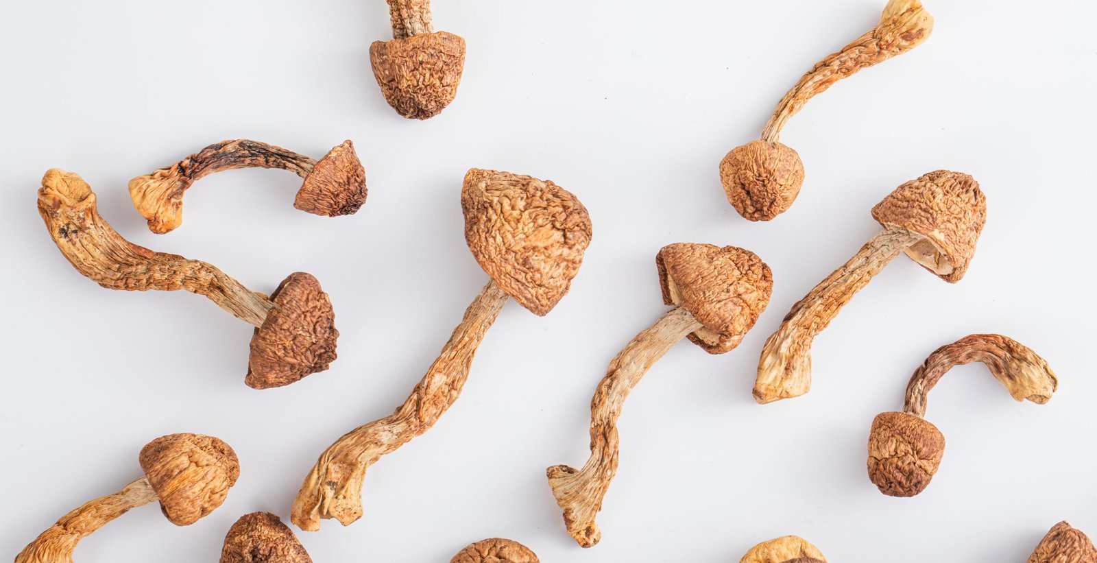 Buy Magic Mushrooms Online